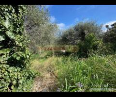 IMPERIA VILLA BIFAMIGLIARE CON TERRENO - 19