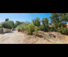 Triscina terreno lato mare di 600 mq c.ca