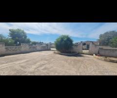 Triscina villetta con 3800 mq di terreno - 9