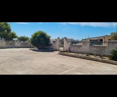 Triscina villetta con 3800 mq di terreno - 10