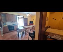 Triscina villetta con 3800 mq di terreno - 22