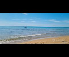 Triscina villetta con 3800 mq di terreno - 27