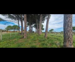 Castelvetrano terreno di 5000 mq con magazzino - 24