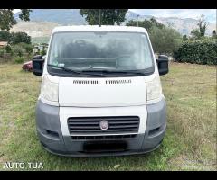 Fiat DUCATO CARROATTREZZI 15q PATENTE B 6posti - 14