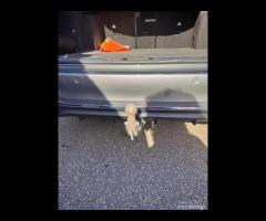 MB C200 SW MILD HYBRID PREMIUM AMG - 14