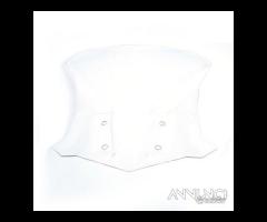 Paravento cupolino trasparente protezione GS 310 R - 6