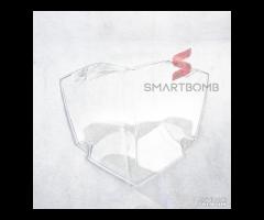 Protezione faro anteriore R1200GS R1250GS ADV STD - 20