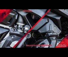 Proteggi corpo farfallato BMW R1200GS R1250GS - 8