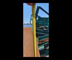 TRAMOGGIA VIBRANTE - 12