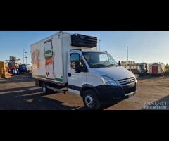 IVECO 65CE4 CON CELLA FRIGO COLD - 12