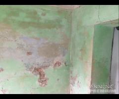 Cascina - Cascinale Da Ristrutturare A Casalorzo - 17