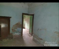 Cascina - Cascinale Da Ristrutturare A Casalorzo - 21