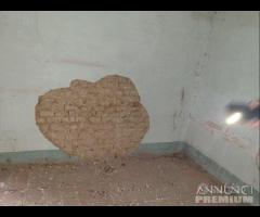 Cascina - Cascinale Da Ristrutturare A Casalorzo - 29