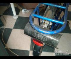 Graziella Bianchi A Motore Conservata - 7