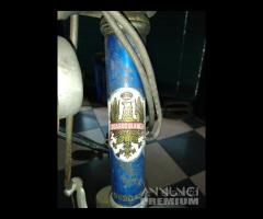 Graziella Bianchi A Motore Conservata - 17