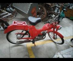 Ciclomotore Victoria 50CC Da Restauro - 6