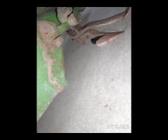 Seminatrice Manuale Triumph Da Orto - 11