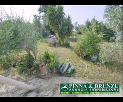 Oristano / sili' - villa al grezzo - 10