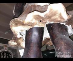 Statua Raffigurante Un Servo Di Colore - 12