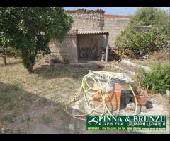 Ollastra - Casa Campidanese - 14