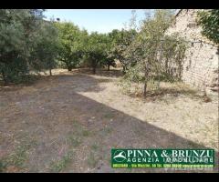 Ollastra - Casa Campidanese - 21