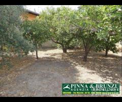 Ollastra - Casa Campidanese - 22