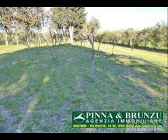 Santa giusta - cirras villa terreno 12.000 mq - 8