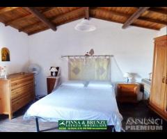 NARBOLIA - CASA TIPICA in Pietra - 8