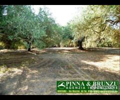 BARATILI S. PIETRO - CASA civile abitaz - 6