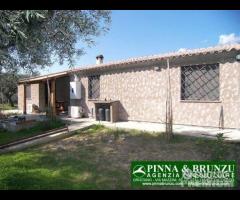 Riola sardo - casa in campagna ulivi