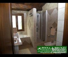 Riola sardo - casa in campagna ulivi - 13