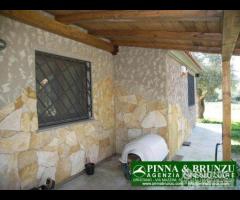 Riola sardo - casa in campagna ulivi - 17