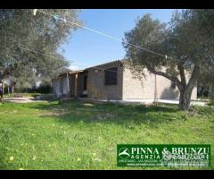 Riola sardo - casa in campagna ulivi - 18