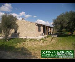 Riola sardo - casa in campagna ulivi - 19