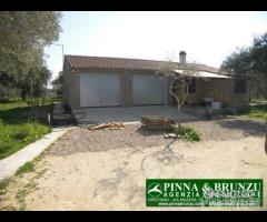 Riola sardo - casa in campagna ulivi - 20