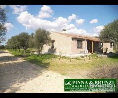 Riola sardo - casa in campagna ulivi - 22