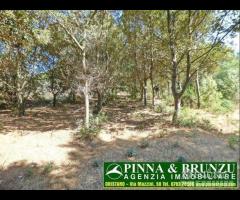 PUTZU IDU - a 700 mt. dal Mare - 13