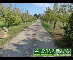 Baratili / zeddiani - capannone sala ricevimenti - 19