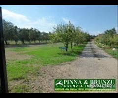 Baratili / zeddiani - capannone sala ricevimenti - 21