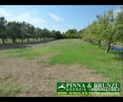 Baratili / zeddiani - capannone sala ricevimenti - 22