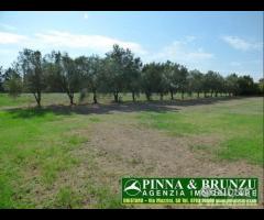 Baratili / zeddiani - capannone sala ricevimenti - 23