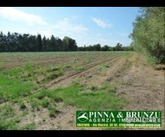 Baratili / zeddiani - capannone sala ricevimenti - 24