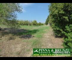 Baratili / zeddiani - capannone sala ricevimenti - 25