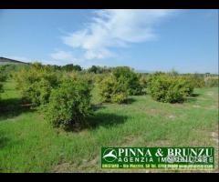 Baratili / zeddiani - capannone sala ricevimenti - 28