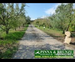 Baratili / zeddiani - capannone sala ricevimenti - 29