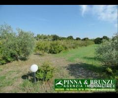 Baratili / zeddiani - capannone sala ricevimenti - 30