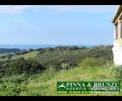 SANTA CATERINA - Terreno Casale PREZZO RIBASSATO - 6