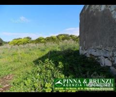 SANTA CATERINA - Terreno Casale PREZZO RIBASSATO - 7