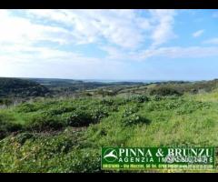 SANTA CATERINA - Terreno Casale PREZZO RIBASSATO - 9