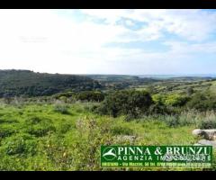 SANTA CATERINA - Terreno Casale PREZZO RIBASSATO - 11